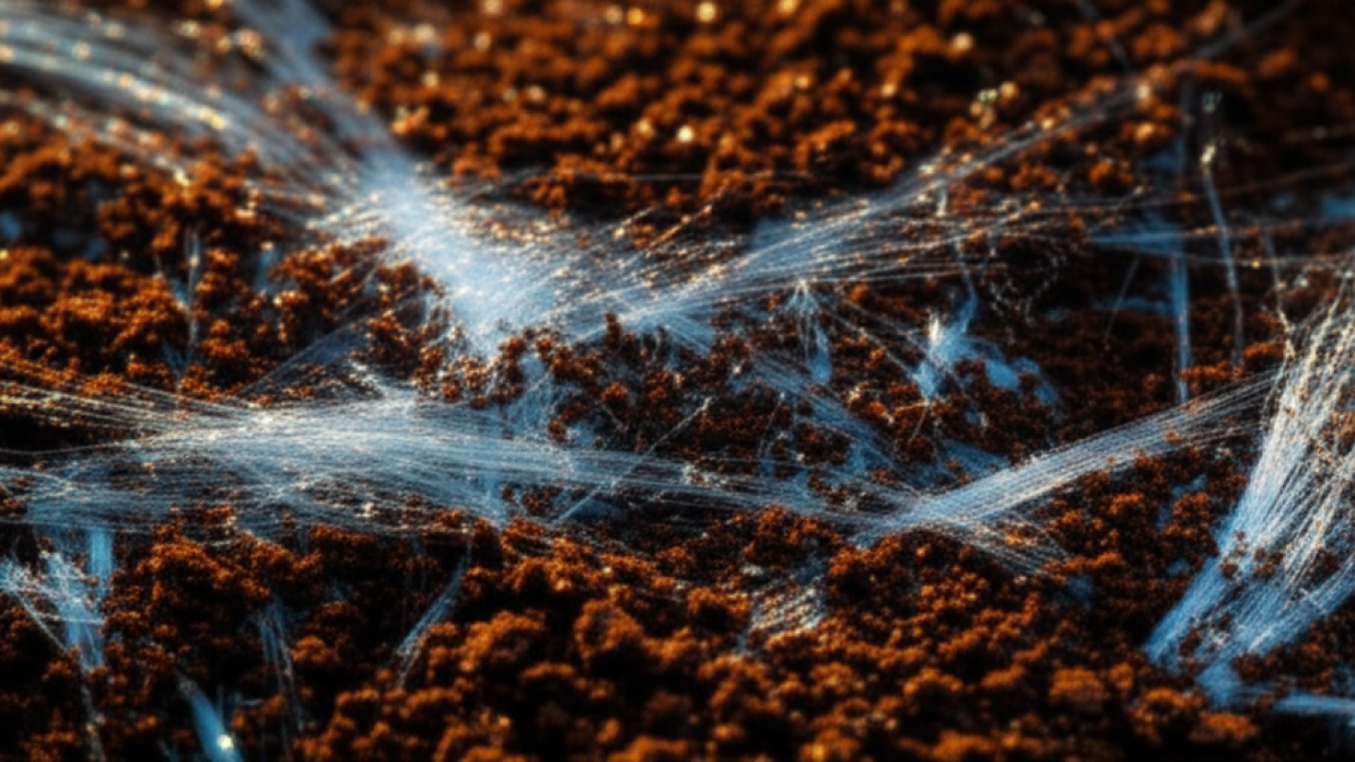 A macro close-up of dark roasted coffee grounds mixed with shimmering, translucent synthetic fibers,